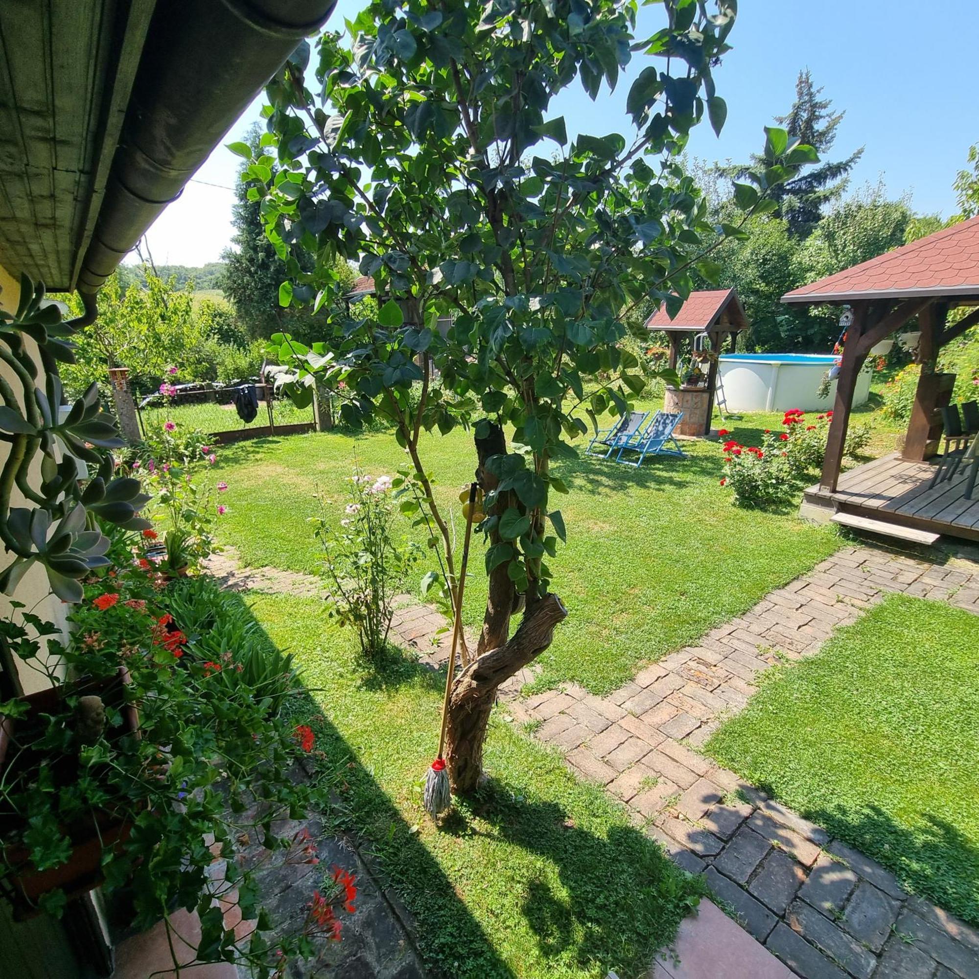 Jesenovec Kuca Za Odmor Bajtica 빌라 외부 사진