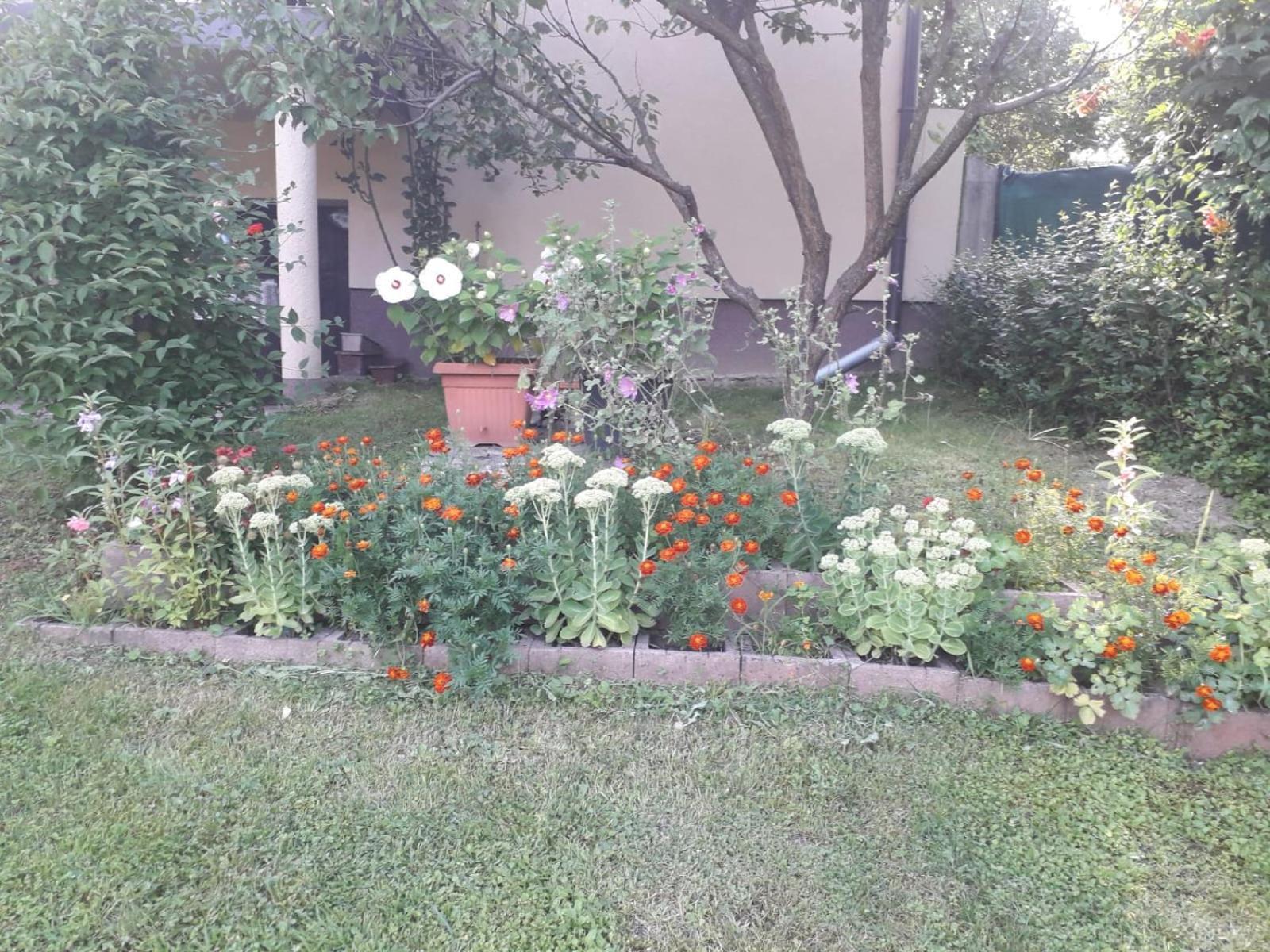 Jesenovec Kuca Za Odmor Bajtica 빌라 외부 사진