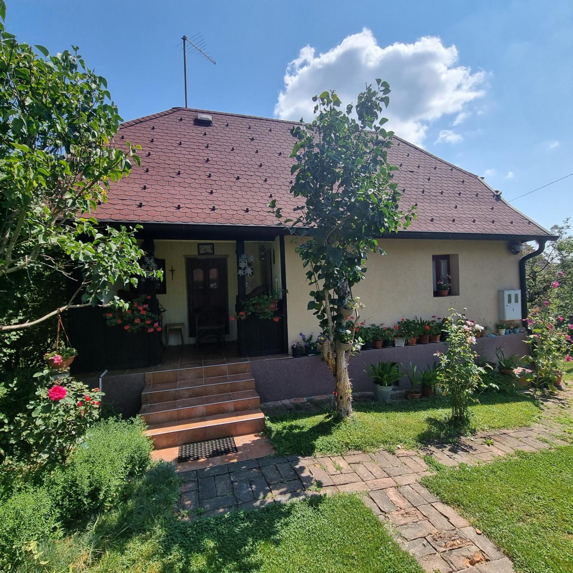 Jesenovec Kuca Za Odmor Bajtica 빌라 외부 사진